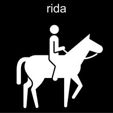 Ridhjälm, ridstövlar, säkerhetsväst, sadel och tygel. Hur gör man när man rider fälttävlan?