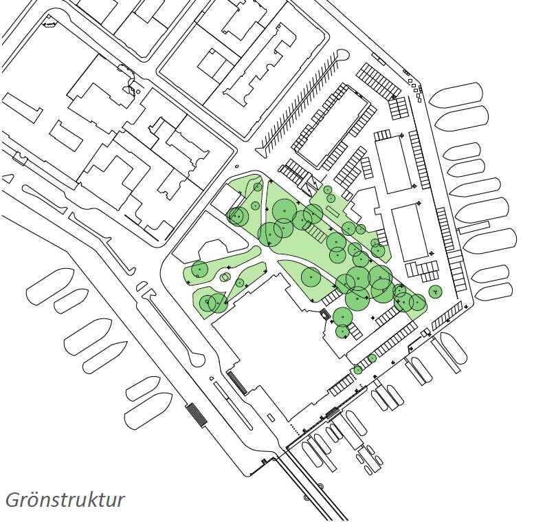 Sida 12 (47) Förutsättningar Natur Mark och vegetation Vegetationen på Blasieholmen är framförallt koncentrerad till Museiparken där ett tjugotal större träd, klippta gräsytor och några friväxande