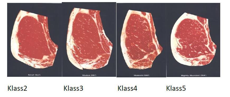 Klassning av nöt i Sverige, Marmorering 1. Ej marmorerad 2.