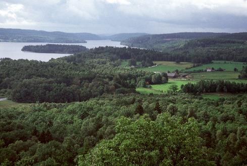 Områdets areal fördelat på ägoslag Område Areal (ha) Vatten (ha) Land (ha) Ej skogsmark (ha) Skogsmark (ha) Gävleborgs län, Ljusnan-Voxnan 267 101 16 527 250 574 29 415 221 159 Förekomst av ungskog