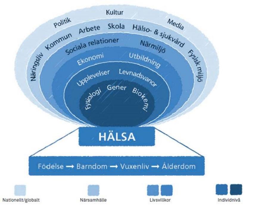 En god folkhälsa för hållbar utveckling I flera avseenden har Sverige en god folkhälsa, men hälsan är ojämlikt fördelad i befolkningen.