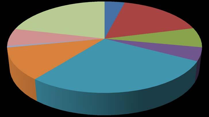 2019-01-29 20 (26) Budgetavvikelse - periodisering Periodisering - resursbrist 6% Periodisering - ingen budget 1% Periodisering - upphandling 11% Periodisering - annat 21% Periodisering -