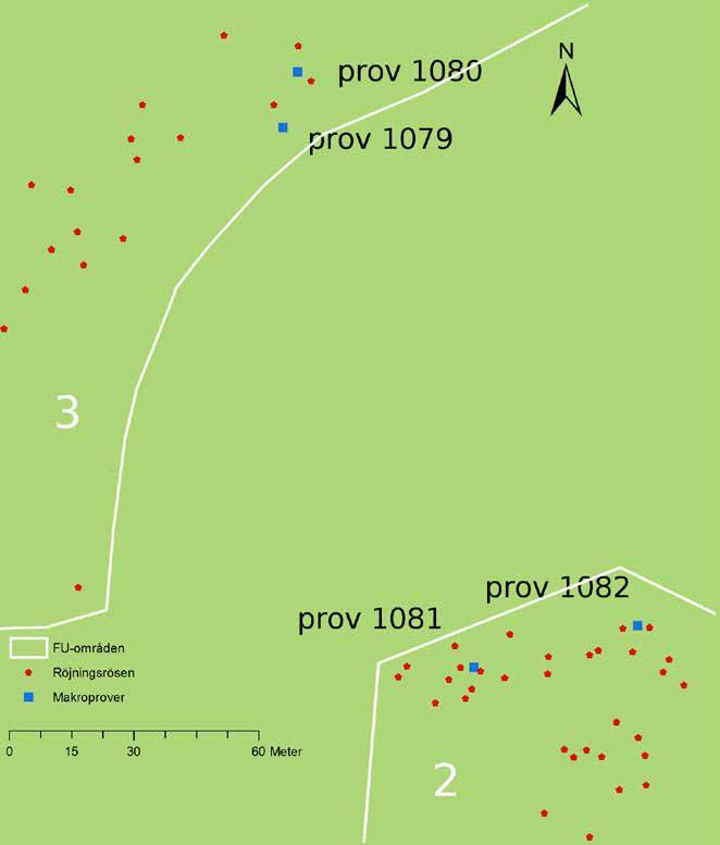 Tre röjningsröseområden på kalhygge i Marbäck socken 11 Figur 6. Kartutsnitt som visar de var de fyra makroproverna togs.