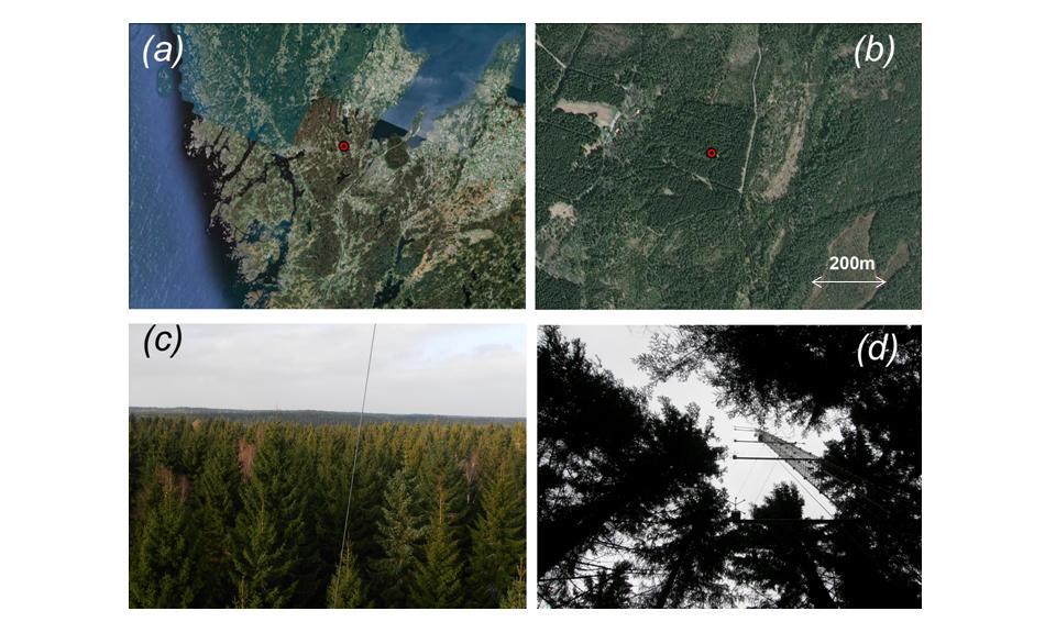 3.2 Skogaryd 3.2.1 Data description The Skogaryd site is located approximately 50km from the west coast Of Sweden and 10-40 km from the large lake Vänern (Figure 3-33a).