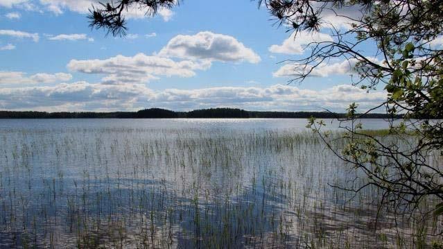 Marknadsområde Vatten Dagvatten Yt- & Grundvatten Distributionssystem Dricksvattensäkerhet VA-process