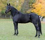 GAE LIME 0:, M, AM Total: 0-0-.000,ljr.s.e Gift Kronos - 9: 0-0-,.00 : 0-0-0, 9.