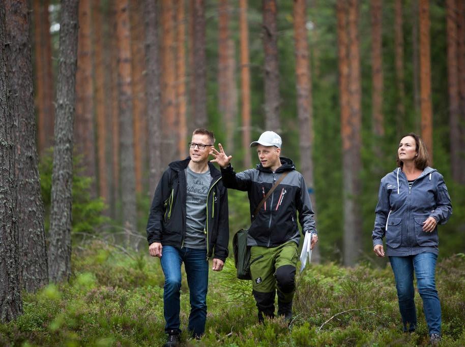 Skogar, plantager och markanvändning Vi respekterar den lokala miljön Förnybarhet kräver ett hållbart skogsbruk som håller skogarna friska och produktiva.