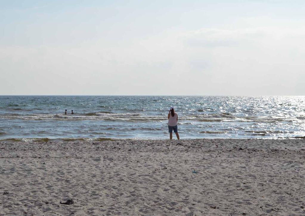 Doftande vresrosor bland dynerna. Havet vidsträckt.