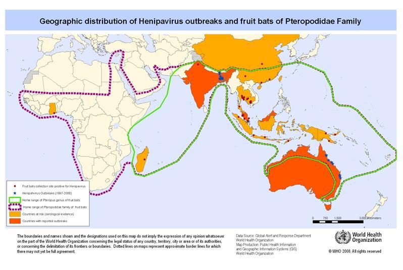 Nipahvirus Malaysia, Bangladesh och Indien (Kerala 2018) Från