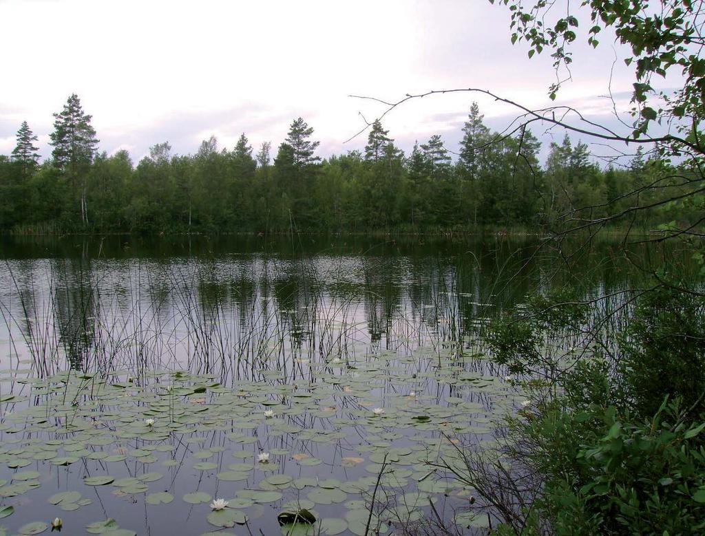 Provfiske i Stora Ålagylet Magnus