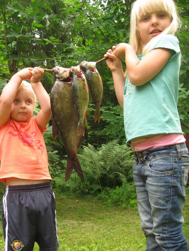 Resultat från provfisken i Långsjön, Trekanten, Flaten och Lillsjön