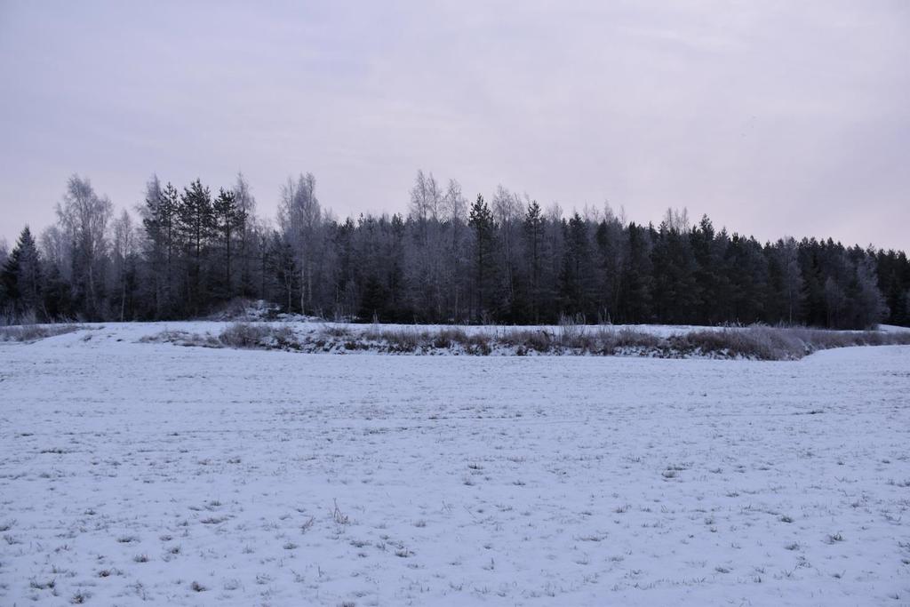 7 3. Utgångspunkter 3.1 Beskrivning av området Bild 3: Området består i dag av skog. Målsättningen med delgeneralplanändringen är att flytta en byggplats.