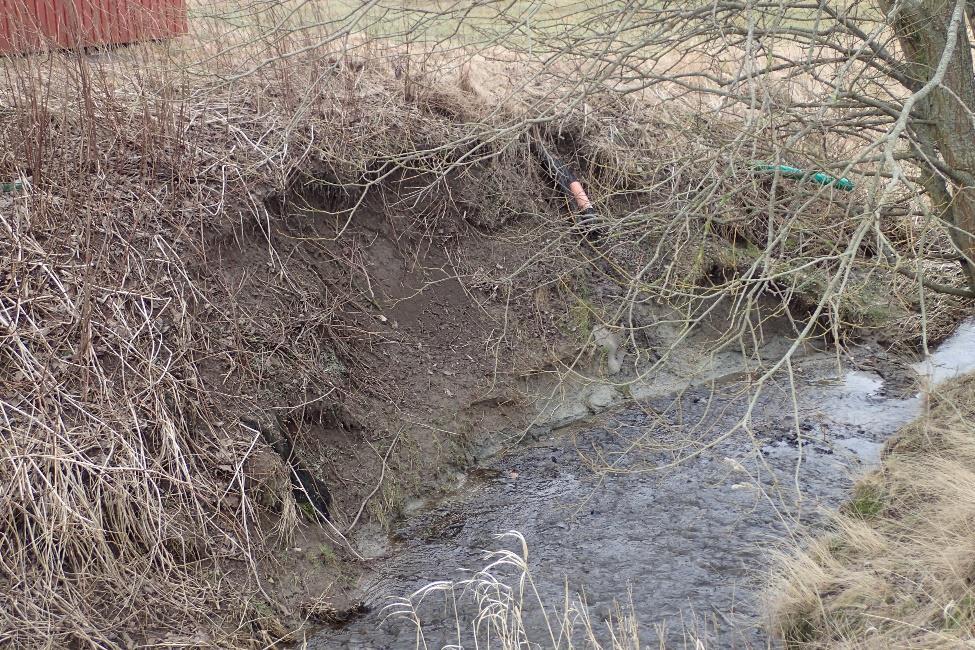 8 (22) Bild 5.5 Erosion i befintligt dike. För befintliga förhållanden förekommer viss erosion som i sin tur har orsakat mindre släpp /ras på vissa platser utmed diket.