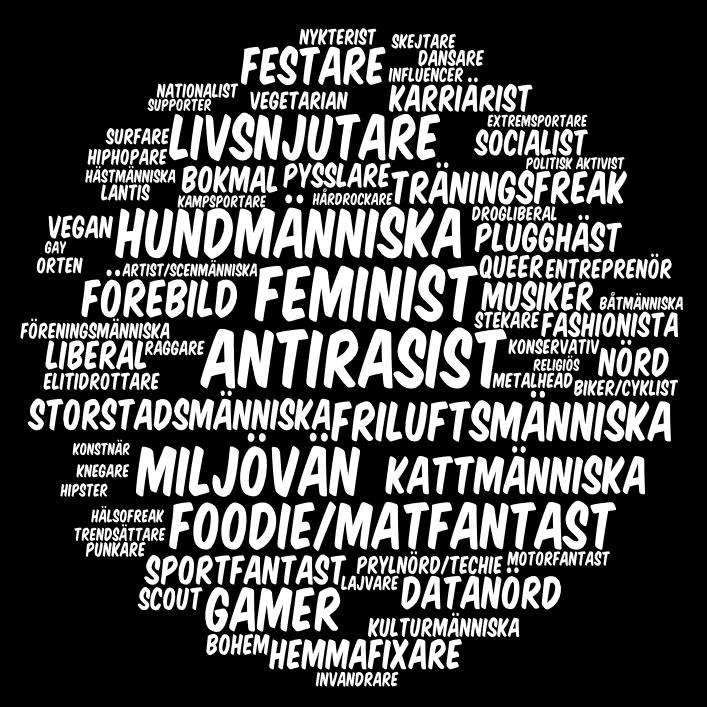 Antirasist (29%) 3. Datanörd (25%) 4. Livsnjutare (21%) 5.