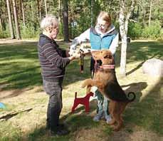 Norska hundar var naturligtvis välkomna att delta de också, men för att delta i klubbmästerskapet i lydnad krävdes att ägaren var medlem i ATG.