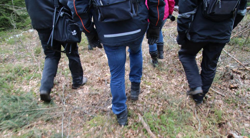 Pilgrim och Stillhet Foto: Jenny Carlson Stilla dag om hösten Pilgrimsvandring Kom med på en inre och yttre vandring!