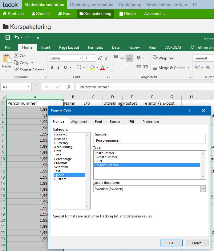 Markera personnummerkolumnen. Högerklicka. Markera Special Välj Personnummer OK.