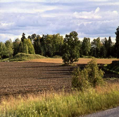 Riksantikvarieämbetet såg till att stenen rätades upp Kommunens enda kungshög 30 meter men det mesta är borta När Sparreska gravkoret skulle byggas behövde man fyllnadsmaterial för en sankmark på