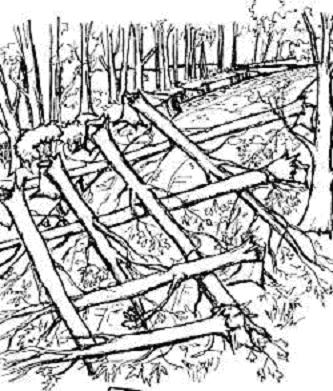 Bilderna visar hur man kan stänga av en väg som gick genom en skog I Aschaneus bok berättas om just detta. Det fanns många bråtar inne bland träden.