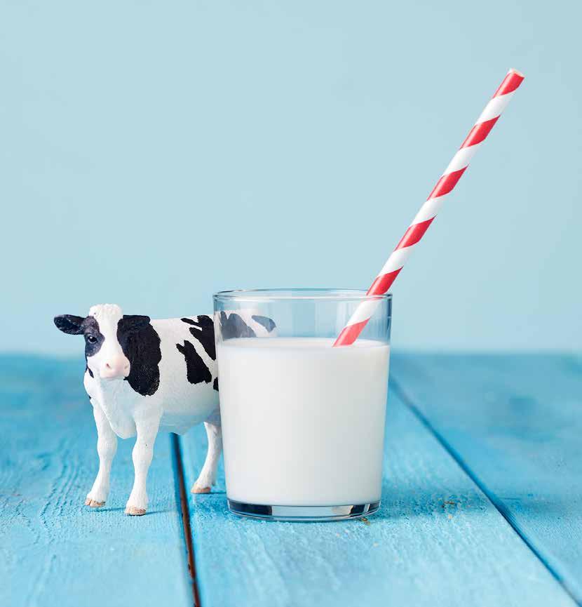 Mjölk innehåller 18 av 22 nödvändiga näringsämnen ENERGI