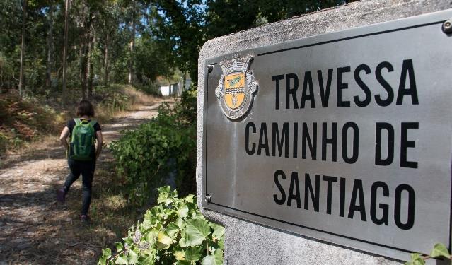 Längs leden Caldas de Reis - Padrón Dag 9 Padrón Santiago de Compostela Den sista sträckan in till slutmålet Santiago de Compostela är en variationsrik vandring, både på stigar och längs vägar.