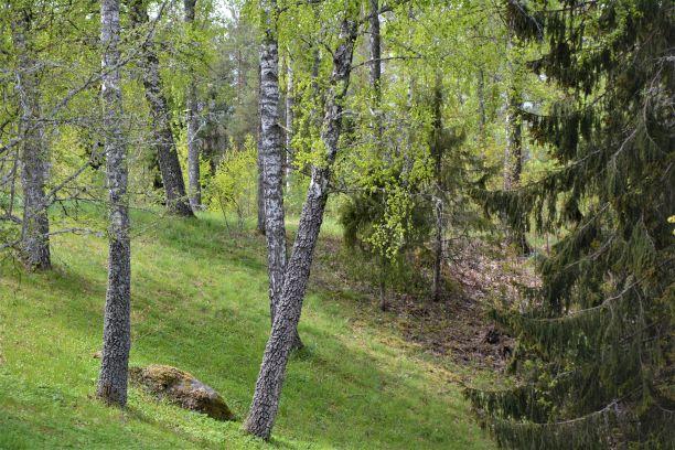 Om Skog & Lantbruk Skog & Lantbruk är ett rådgivningsföretag som arbetar med följande tjänster inom jord och skog: - Fastighetsförmedling - Generationsskifte -