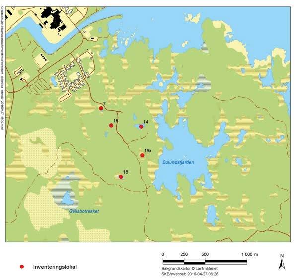 2 Metod Inventeringen bestod av tre olika delar: 1. Under försommaren inventerades spelande grodor och rom. 2. Under mitten av sommaren inventerades yngel. 3.