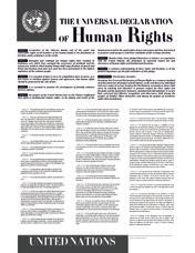 Utformandet av de internationella mänskliga fri- och rättigheterna var en guldåder i mänsklighetens historia och har skapat ett värn mot diskriminering och rasism.