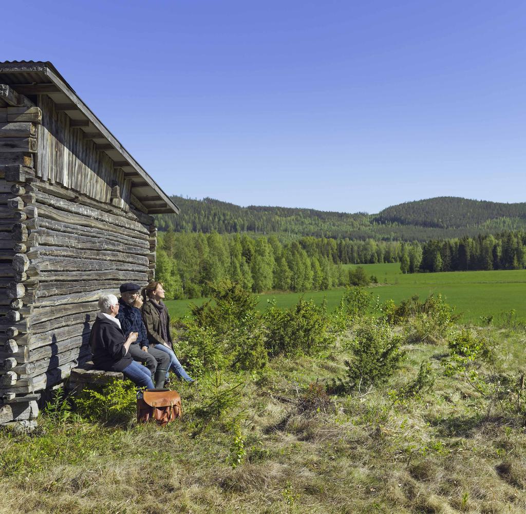 dialoger som scannats av inför arbetet med den fördjupade