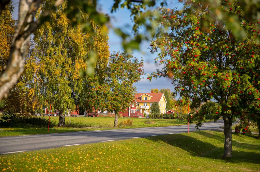 och bosätta sig på landsbygden och kan kommunen möjliggöra för invånare bosätta sig i hela kommunen?