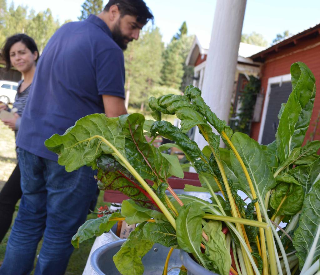 Skellefteå kommun har ett uttalat mål om att stärka dialogen i det övergripande arbete. Det innebär inte per automatik, att invånare får möjlighet att bestämma i enskilda frågor.