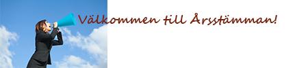 EVRY AB 15. Fredholm Consulting AB 16. GS1 Sweden AB 17. Hogia Business Products AB 18. icore Solutions AB 19. InExchange 20. Kelisec AB 21. Know e AB 22. Lexmark 23. Liasion Technologies AB 24.