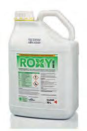 Roxy 800 EC Roxy 800 EC är en jordverkande herbicid i höstspannmål och potatis.