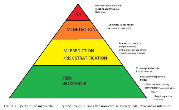 Myocardial Injury in Non-cardiac Surgery (MINS)