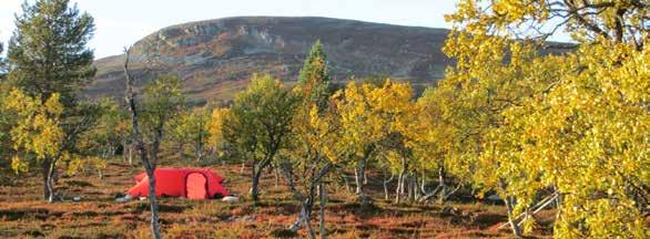 BOENDE Björnlidens Fjällby Tel: 070-651 61 56. www.bjornlidensfjallby.se Fullt utrustade lägenheter för självhushåll, 4-6 bäddar. Öppet året runt. Daniels Fjällstugor Tel: 0253-59 68 80. www.danielsfjallstugor.