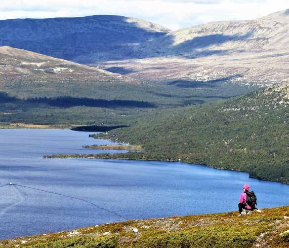 Upplev Sveriges sydligaste och närmaste fjällvärld. Här kan du njuta av stillheten, avskildheten i en orörd och genuin fjällmiljö!