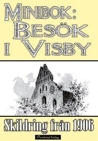 Minibok: Ett besök i Visby 1906 PDF ladda ner LADDA NER LÄSA Beskrivning Författare: John Kruse. Det är de medeltida vackra byggnaderna som gör att Visby i dag lockar tusentals besökare.