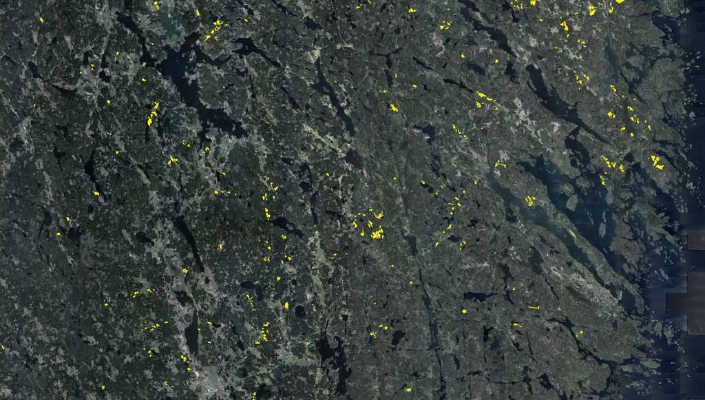 Beställning prognos Bruttourval Beräkningsytor Val av beräkningsytor Skapa stambank & prognos Utbytesprognos T G L Gy Hgv Dgv TT BM GT GM LV Prognosyta 4 88 8 33,0 23,4 30,6 24,8? 5,8? 193,2? 57,4?