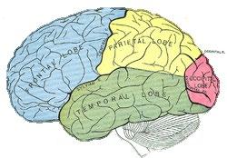 PSYKOSOCIALT SYNSÄTT Samtal