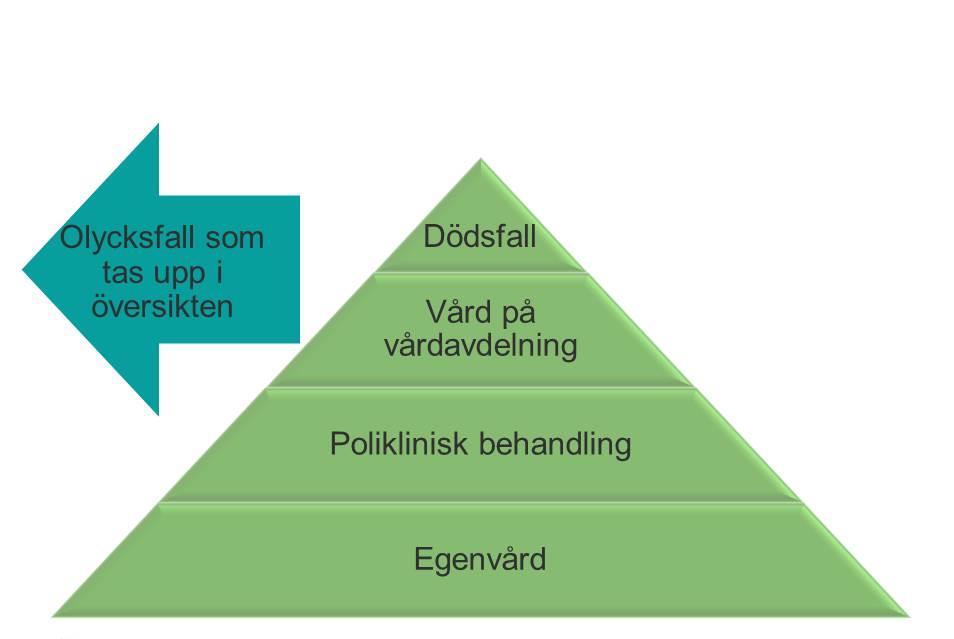 2.1 Var inträffar olycksfall och vem drabbas? I denna översikt behandlas allvarligare olycksfall, dvs. sådana som leder till dödsfall eller som kräver vård på sjukhusens vårdavdelningar (Diagram 2).