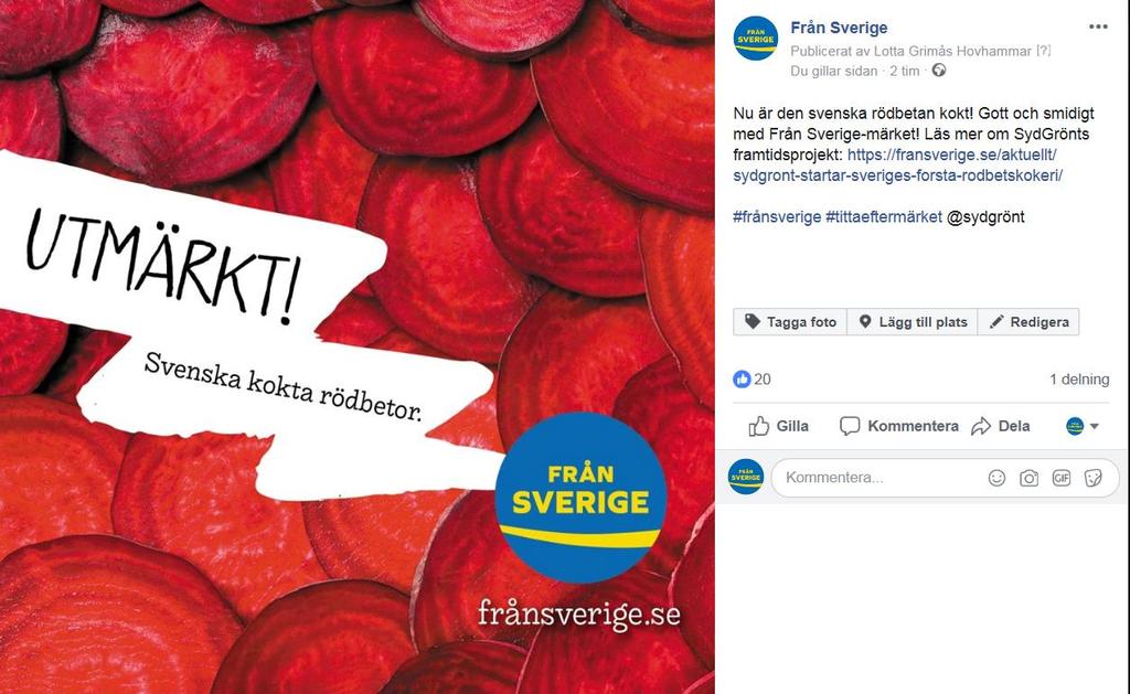 Aktiviteter 2019 Årsplan för