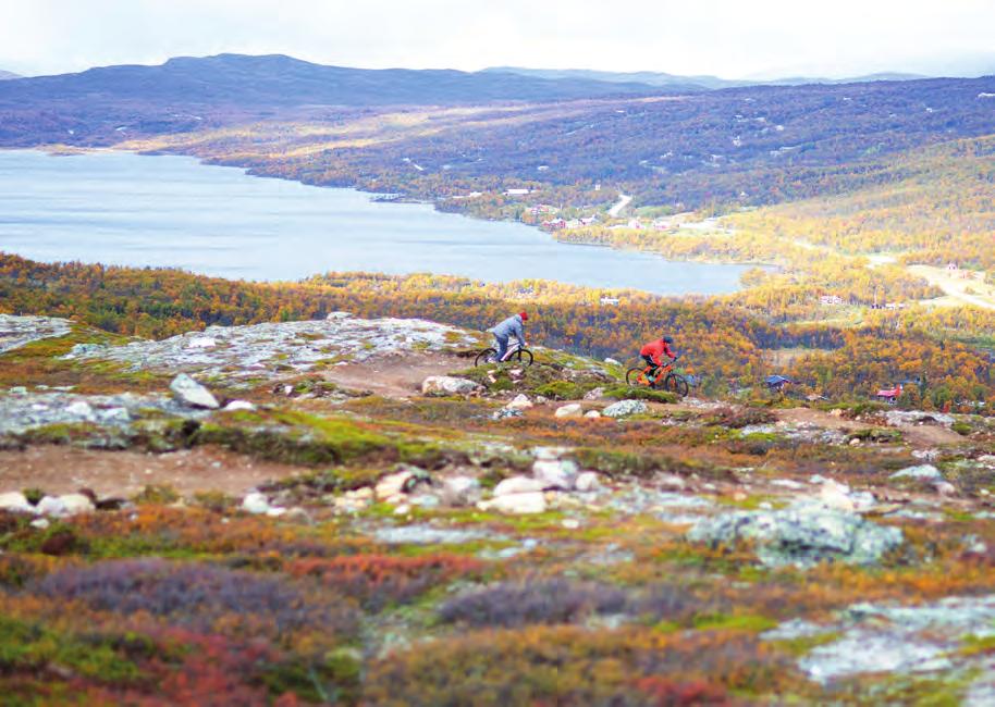 premiär i Tänndalen Fjällcykelpark. Liften är öppen kl. 10-14 och tar dig snabbt upp till våra nya leder.