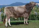 Brownswiss HAMBURG 10/345540........................................................... DE 09 425461 * 26.11.