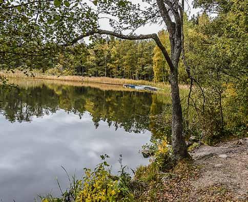 Garnudden. Foto: Bo Ljungberg Söndag 16 februari Vinterpromenad i Garnuddens naturreservat Följ med på en promenad för att titta på spår av djur och fåglar i snön.