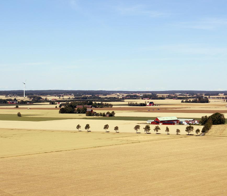 I handen håller du nu årets höstutsädesguide! Den är laddad med information om vad vi på Lagerhuset rekommenderar dig att odla hösten 2019!