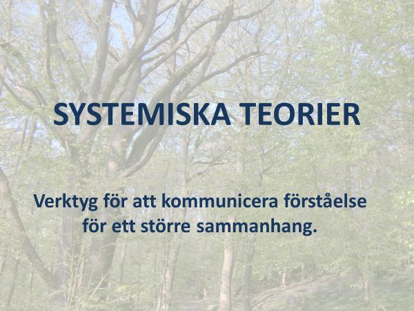 SYSTEMISKA TEORIER Verktyg för att