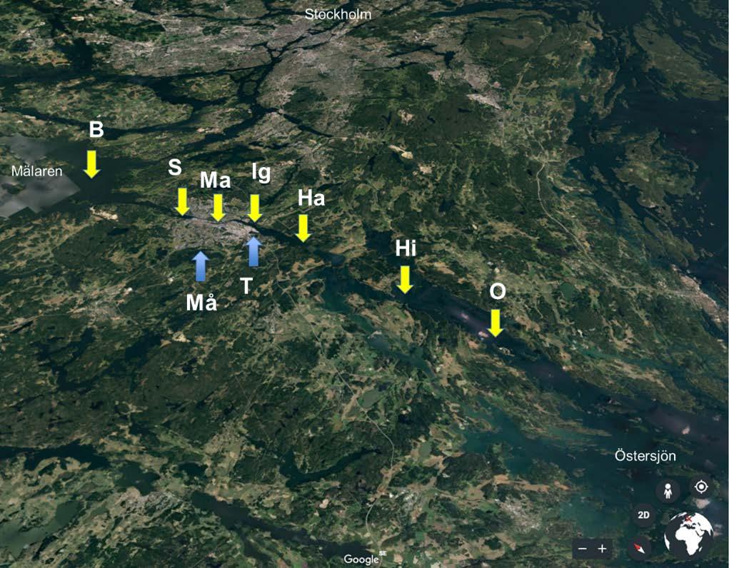 Från Mälaren till Östersjön Björkefjärden, Mälaren (referens) Snäckviken, Mälaren Maren, Östersjön Igelstaviken,