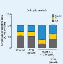 41 Increased Cytotoxicity of the Combination of MSLN-TTC and ATRi A MSLN-TTC combined with ATRi increased the level of DNA
