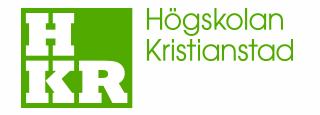 Några grundläggande utgångspunkter: lämna samma information med olika metoder (som uppfattas med syn, hörsel, känsel) lämna information i justerbara format (till exempel text och grafik som kan