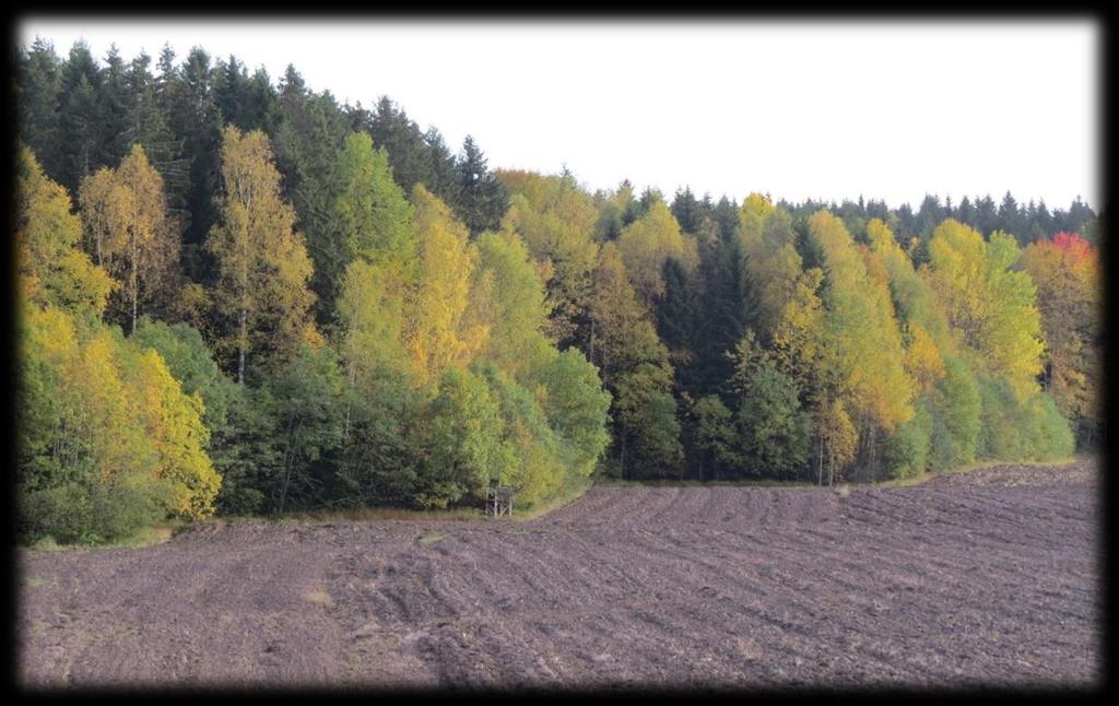 Ekosystemtjänster Skogsbryn/Brynens värden